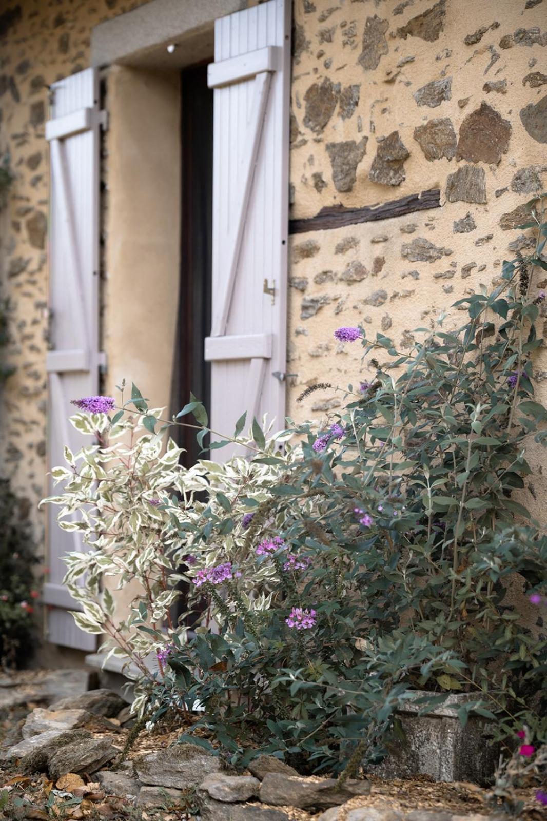 Hotel Domaine Abbey-Rose à Champsac Extérieur photo